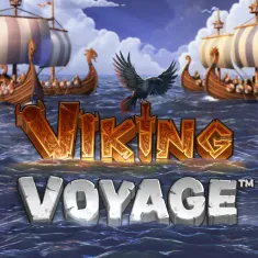 Viking voyage